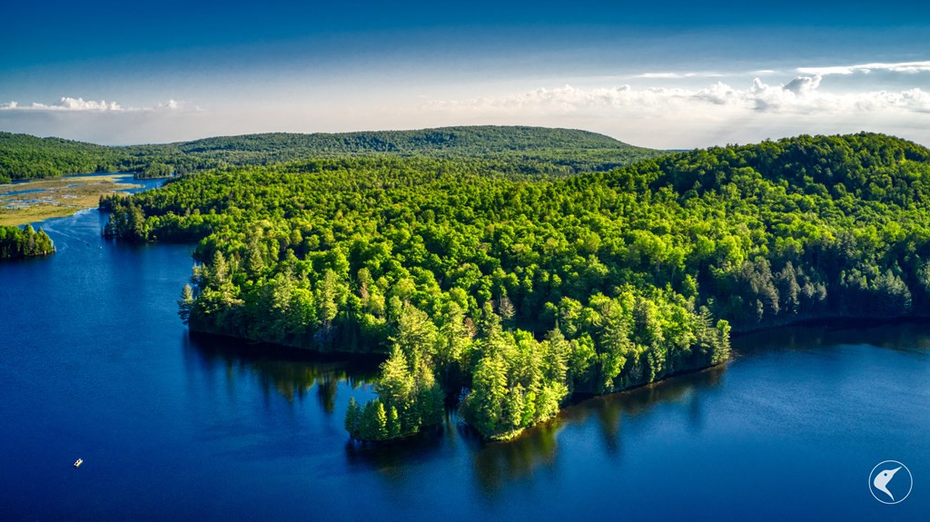 48 Twin Ponds Preserve, Malone, New York image 9