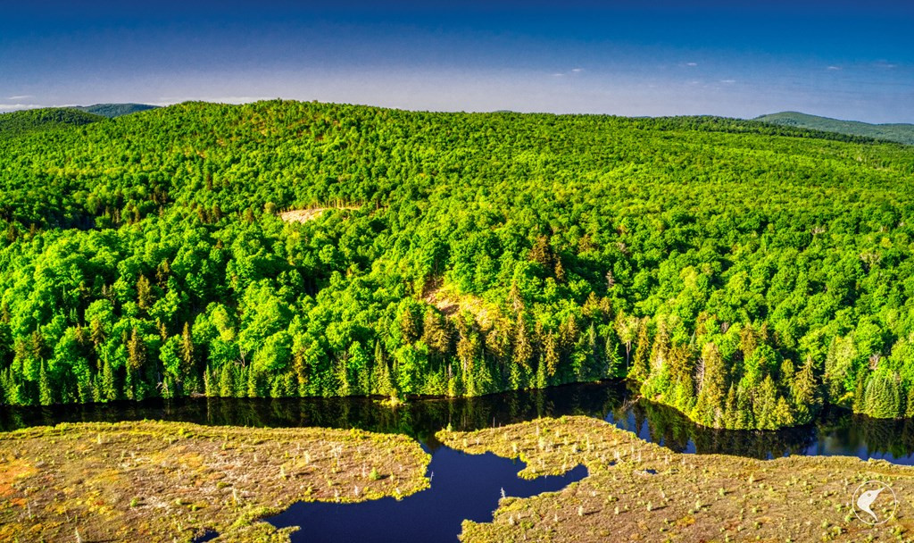 48 Twin Ponds Preserve, Malone, New York image 16