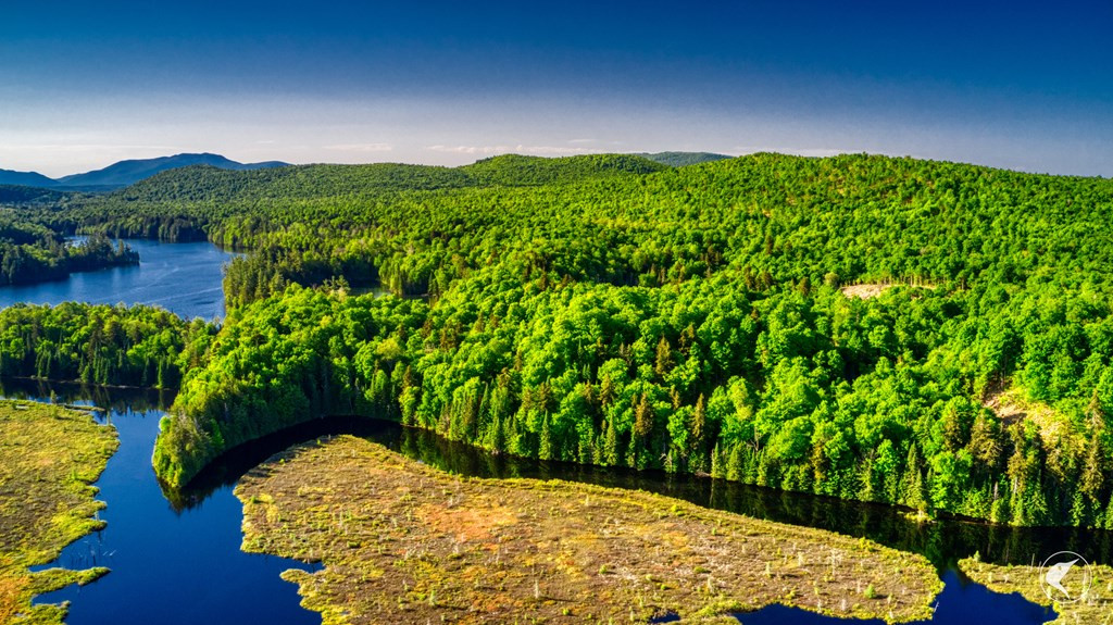 48 Twin Ponds Preserve, Malone, New York image 11