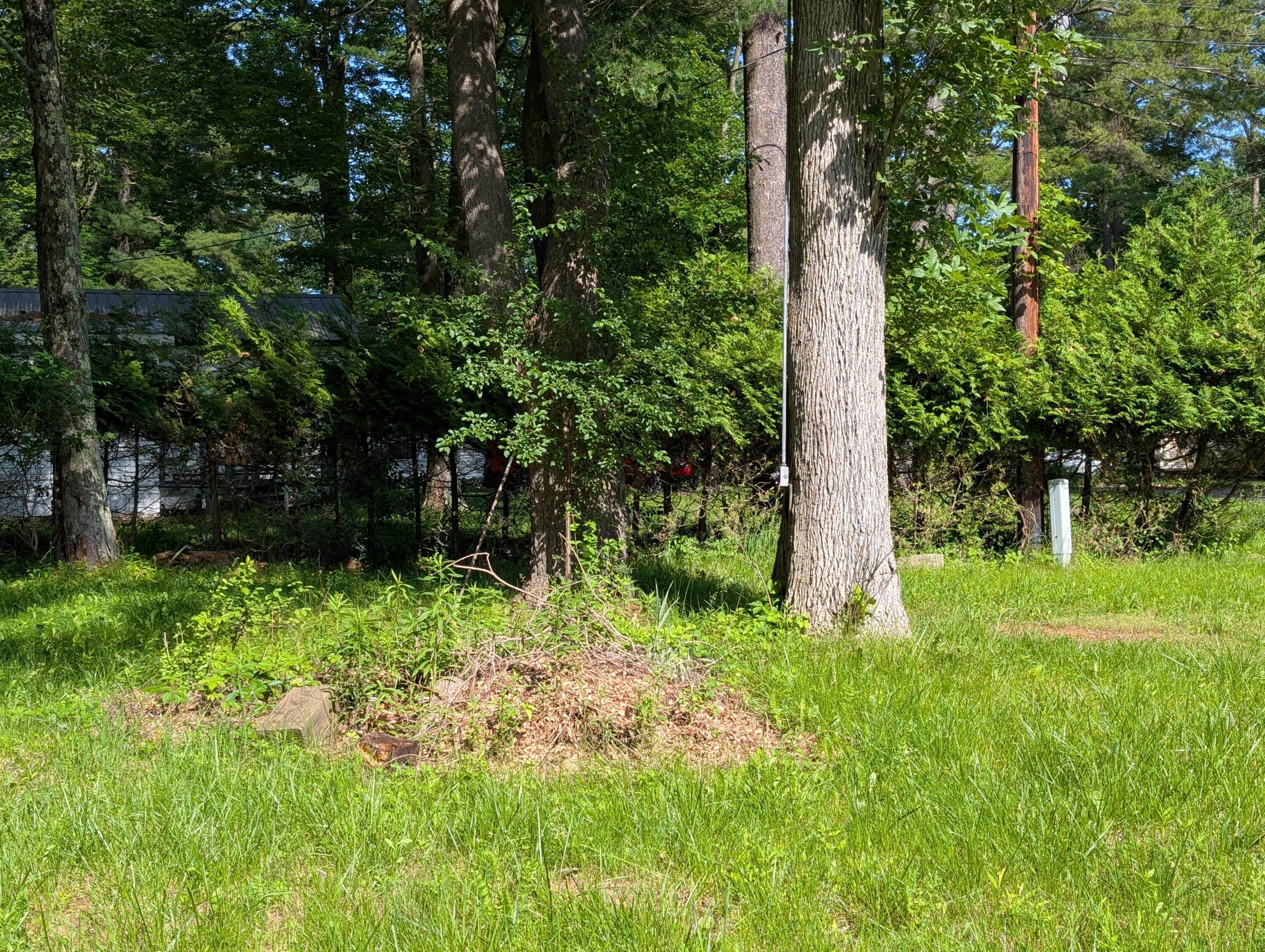 9 Spruce Avenue