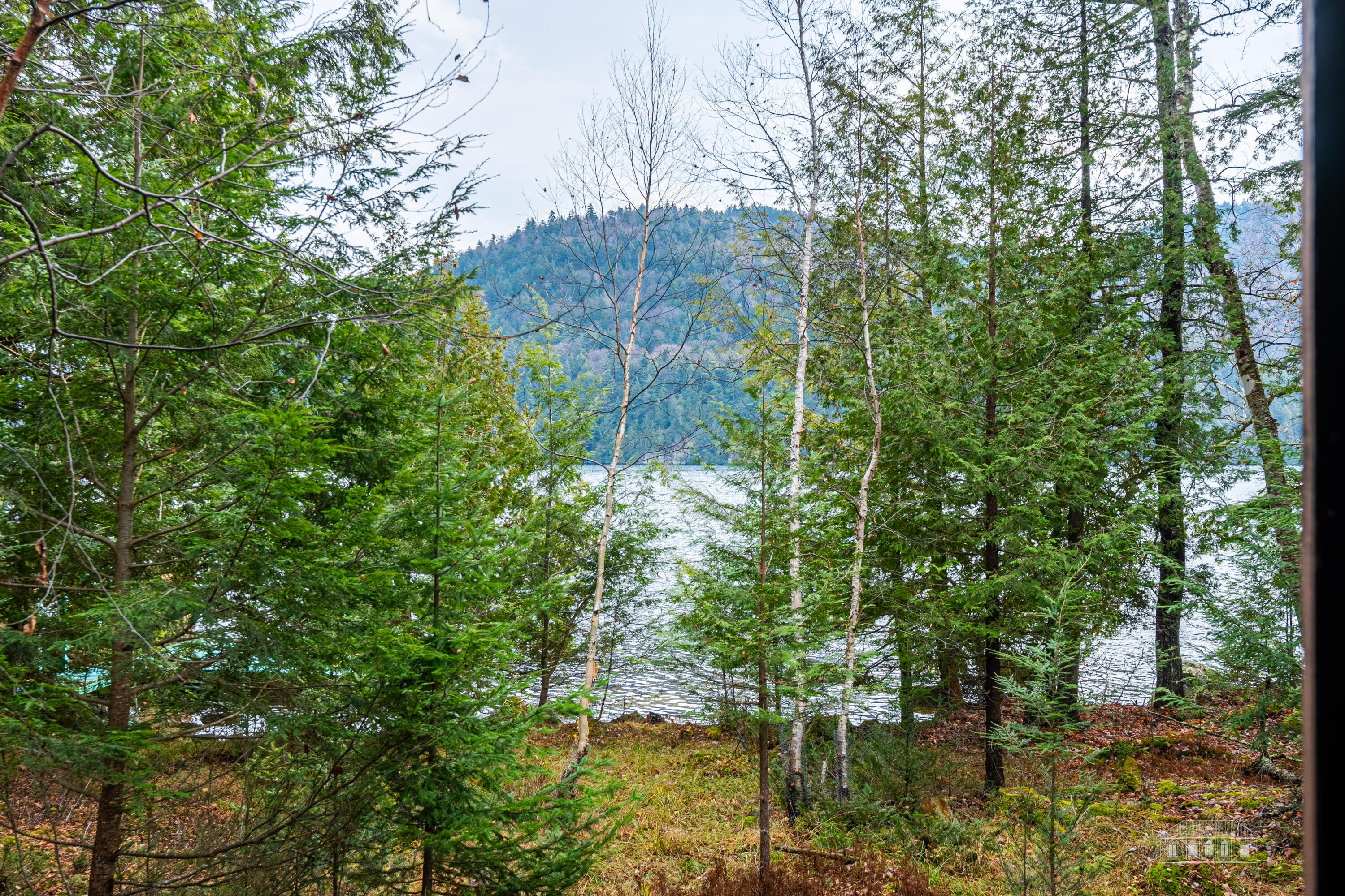 12 George & Bliss #PIER 514, Lake Placid, New York image 12