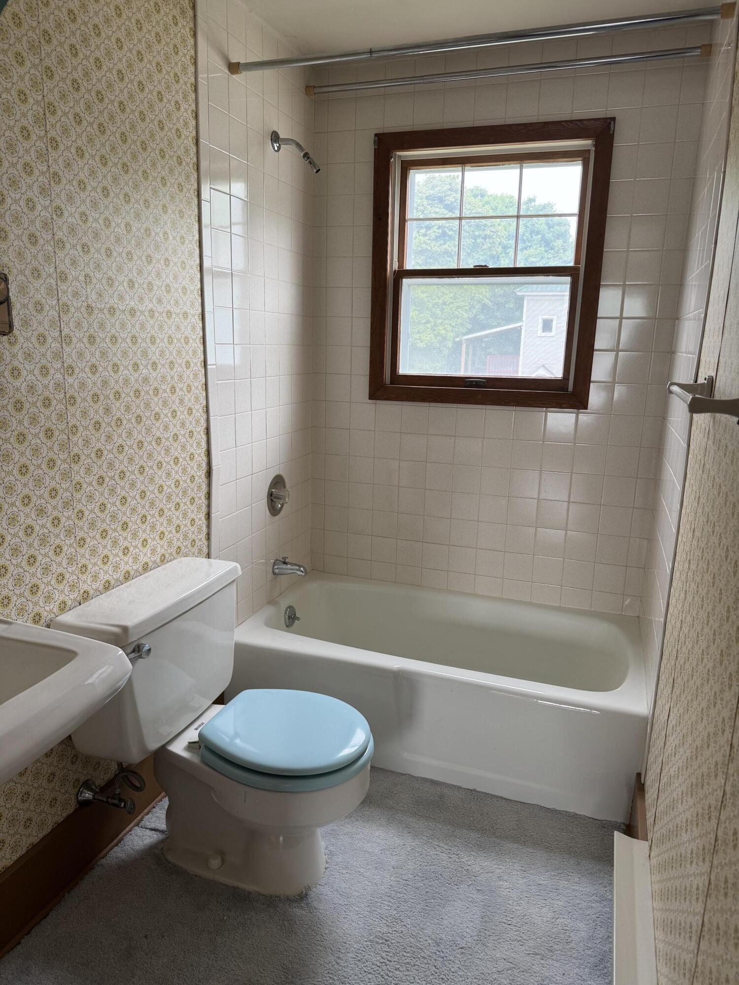 1201 Cook Street, Dannemora, New York image 31