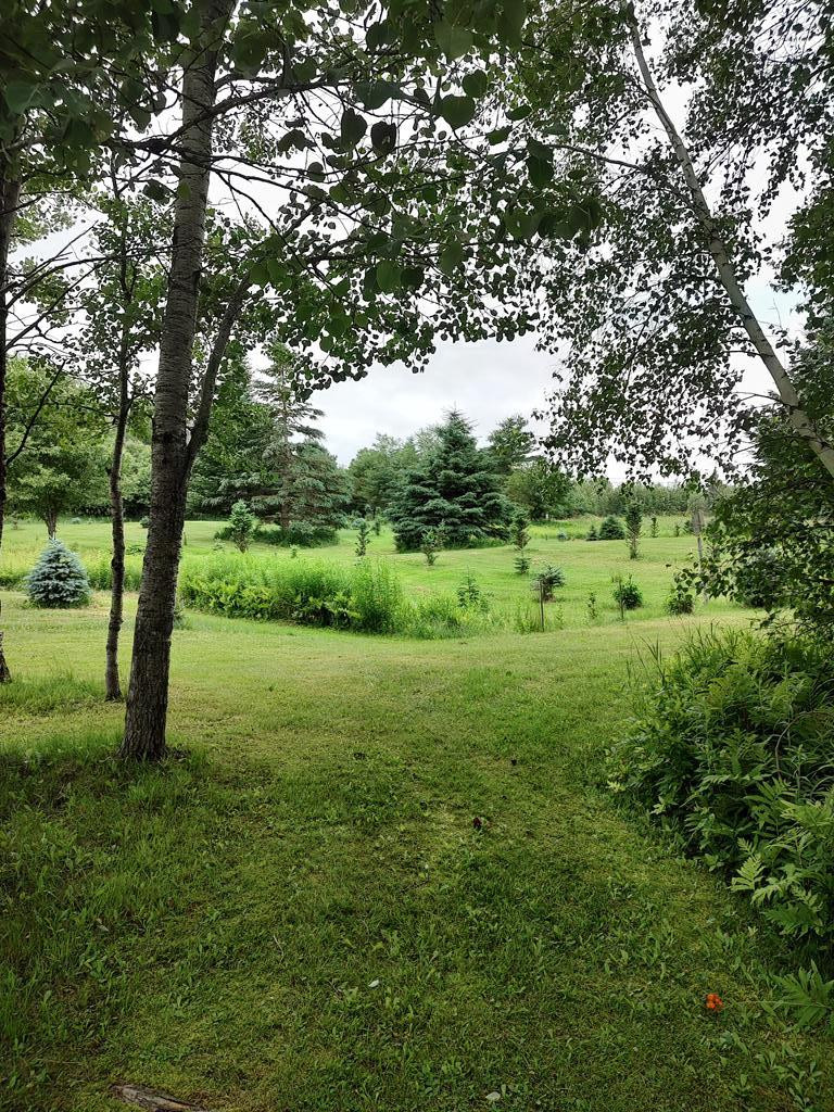 3542 Silver Lake Road, Saranac, New York image 45