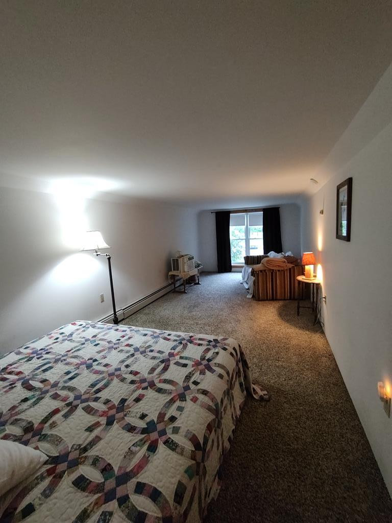 3542 Silver Lake Road, Saranac, New York image 18