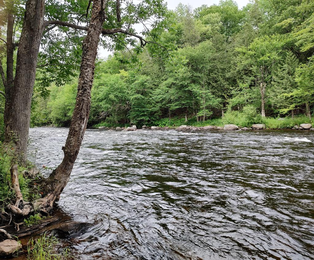 3542 Silver Lake Road, Saranac, New York image 1