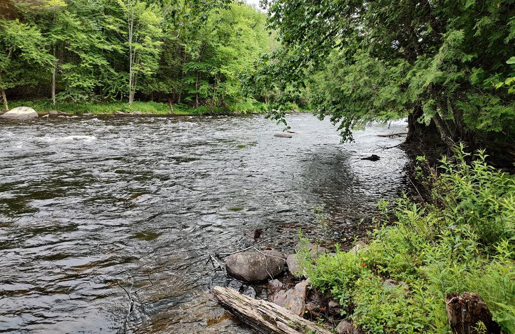 3542 Silver Lake Road, Saranac, New York image 49