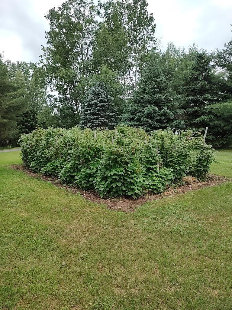 3542 Silver Lake Road, Saranac, New York image 44