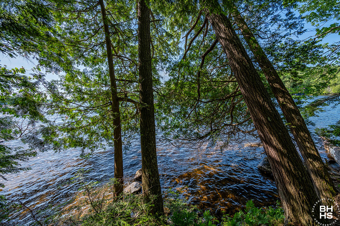 Saranac Lake, New York 12983, United States, 5 Bedrooms Bedrooms, ,3 BathroomsBathrooms,Residential,Active,160002