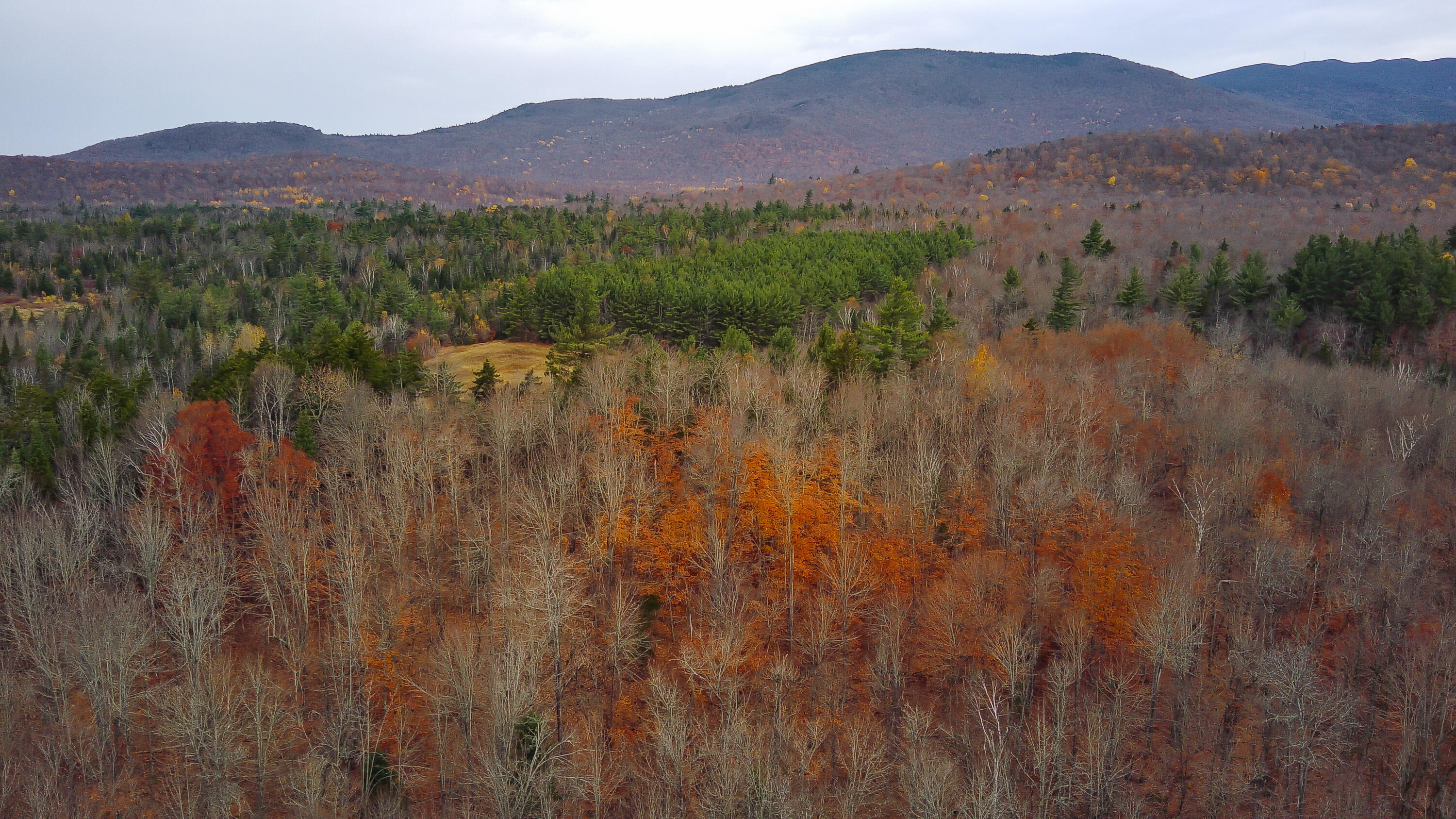 True Brook Road, Saranac, New York image 1