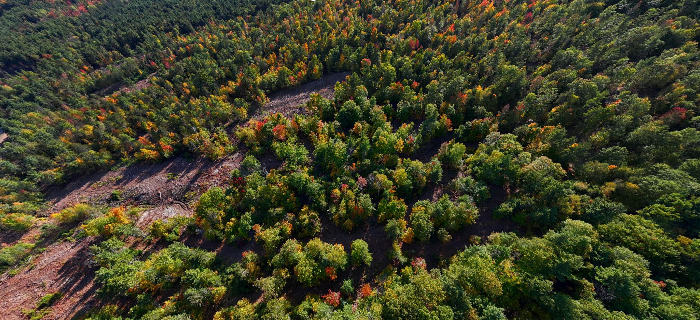 Lot 2 Hardy Rd, Wilmington, New York image 8