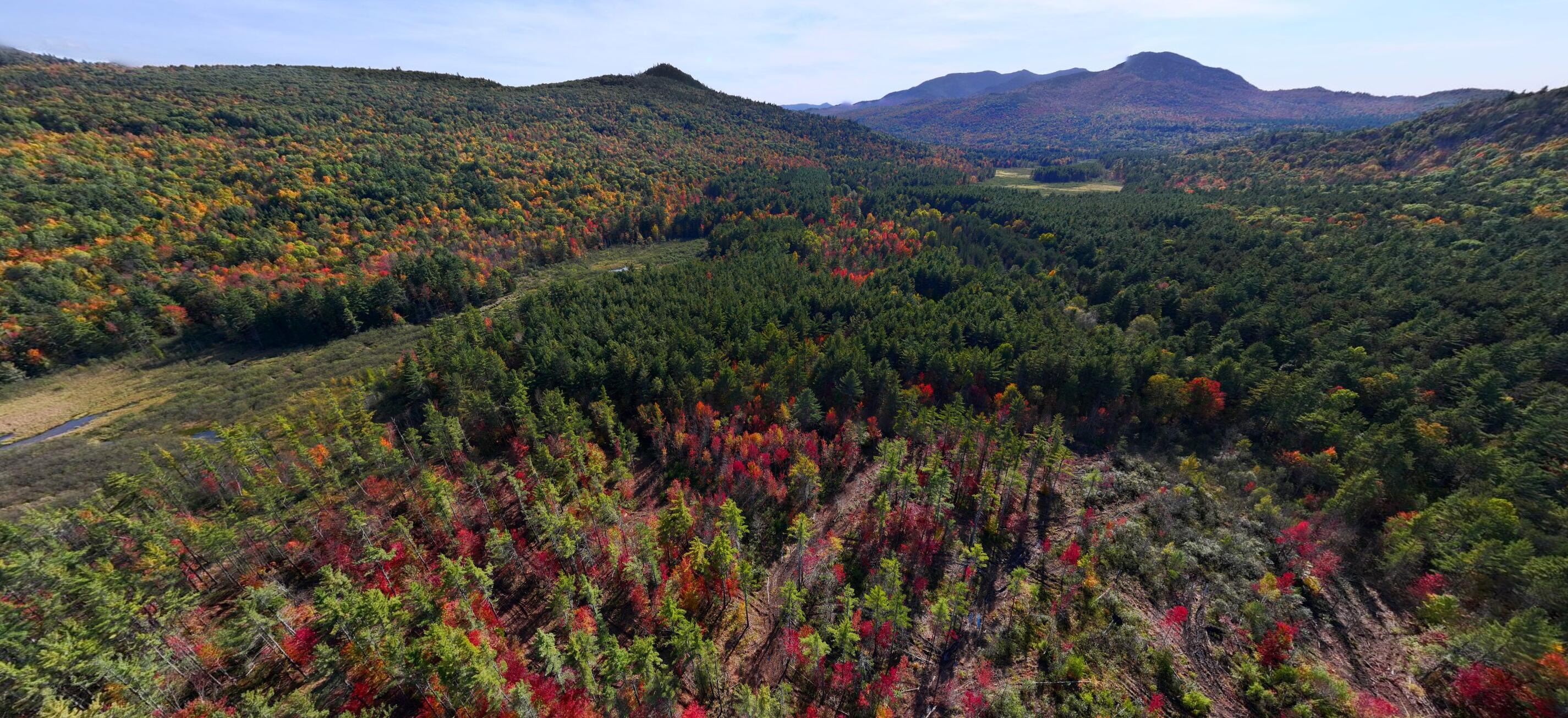 Lot 2 Hardy Rd, Wilmington, New York image 6