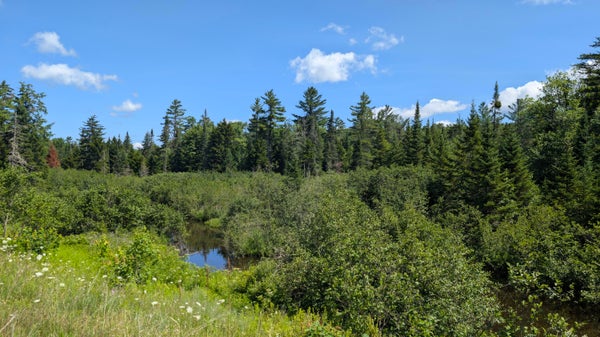 ADIRONDACK ST, SARANAC LAKE, NY 12983 - Image 114ea4c490c7a3782ed043b6ae3a67ff/2924093393