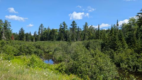 Vacant Land For Sale - 10279 Adirondack Trail<br/> Franklin County, Malone, NY 12953