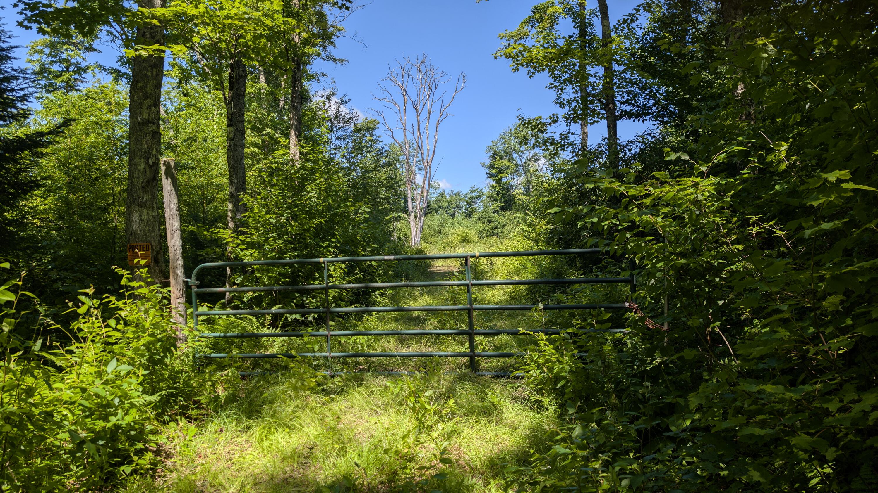 10279 Adirondack Trail