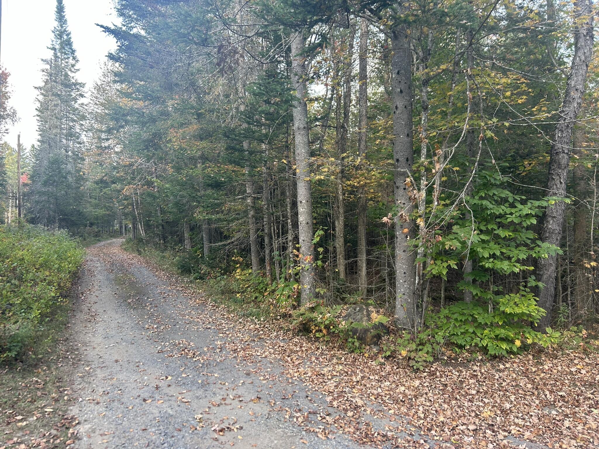 TBD Montayne Way, Newcomb, New York image 6