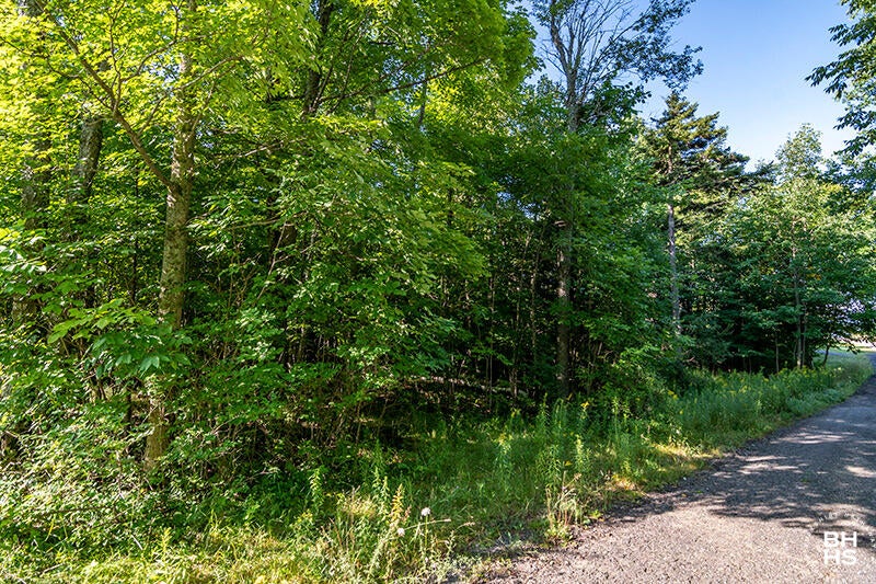 Lot 18 Mt Pisgah Park