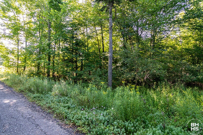Lot 18 Mt Pisgah Park