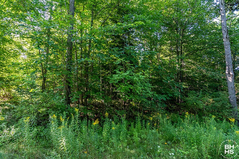Lot 18 Mt Pisgah Park