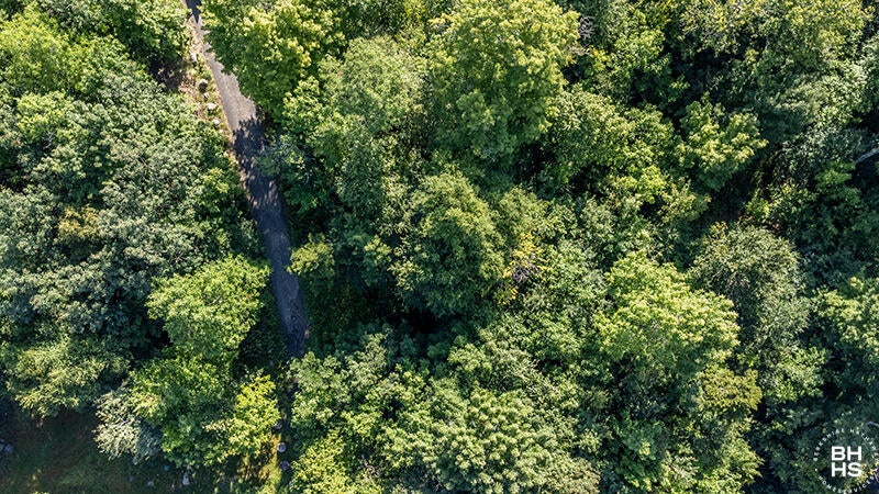 Lot 18 Mt Pisgah Park