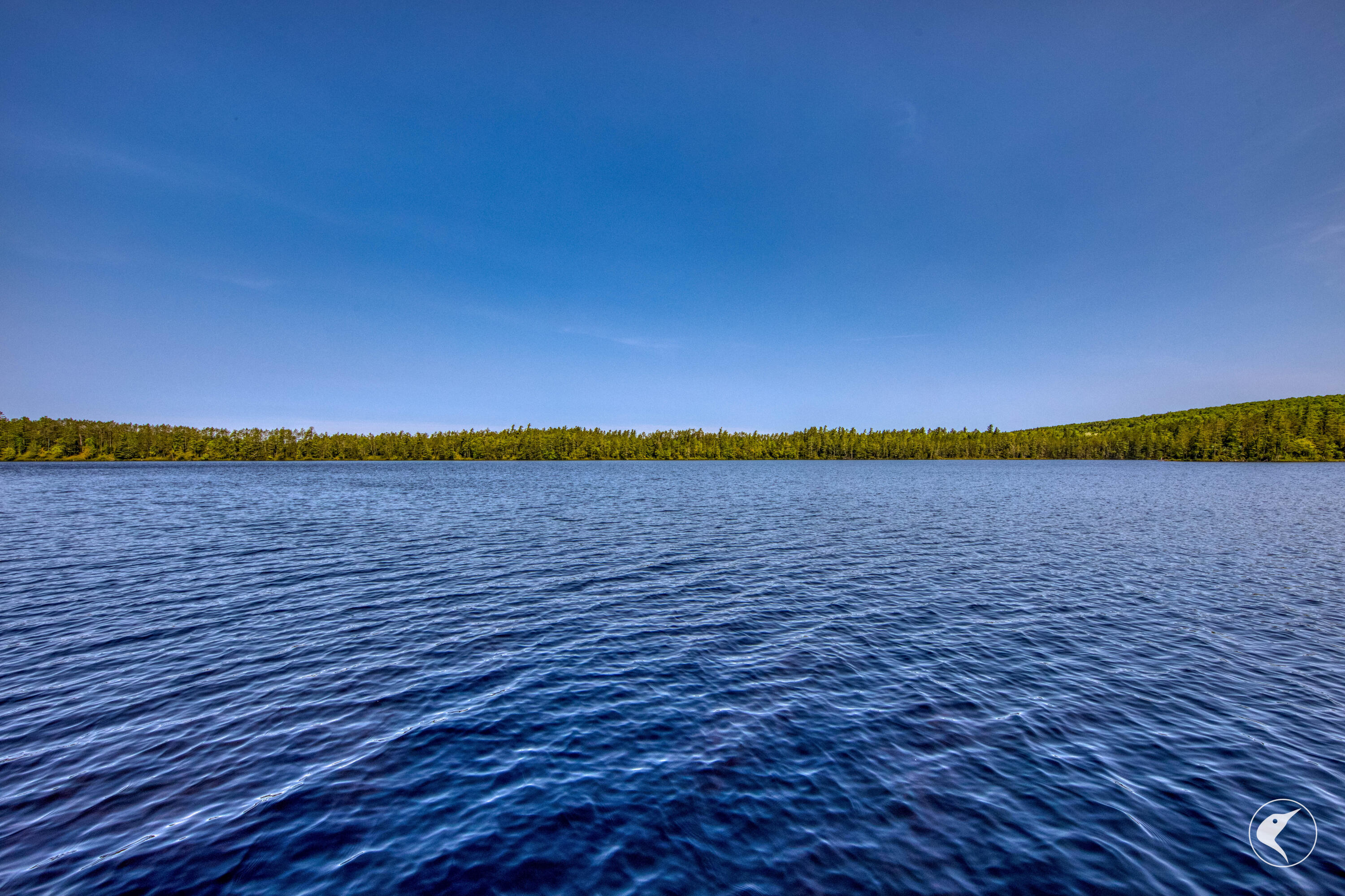 33 Loon Landing