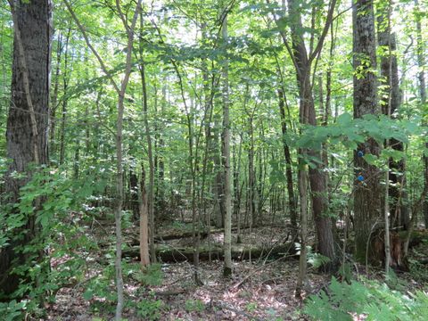 Photo of 23 Tannenbaum Lane, Jay, NY 12941 (MLS # 207735)