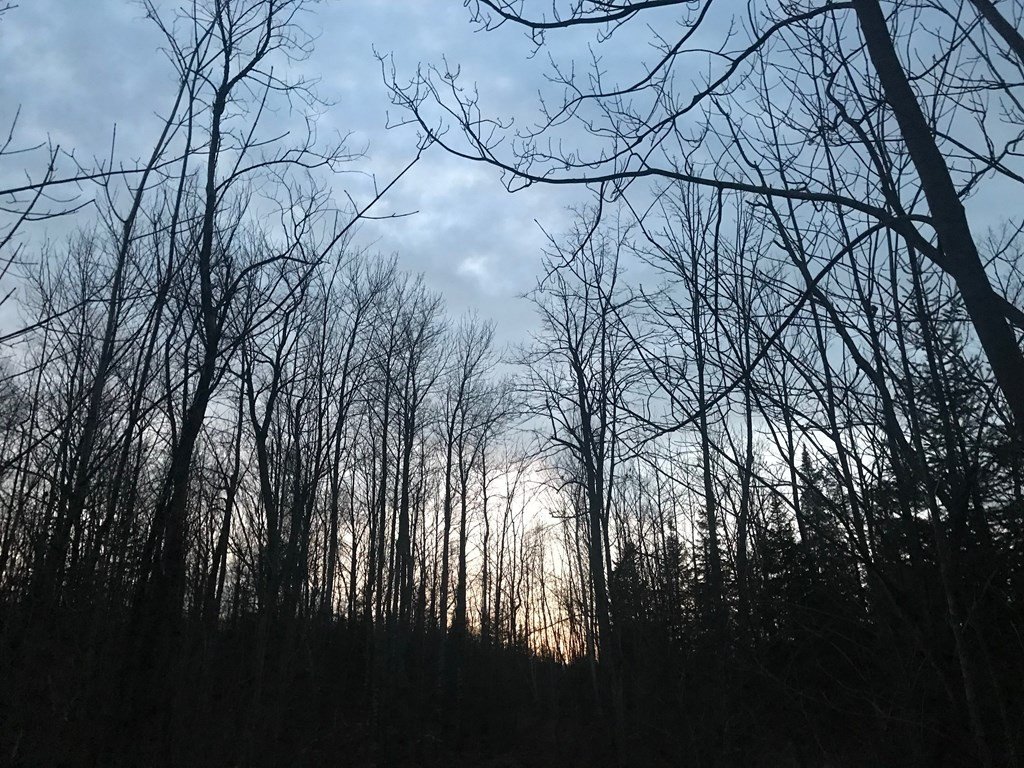 0 Plank Road