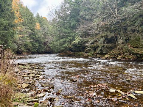 0 Chasm Road Chateaugay NY 12920