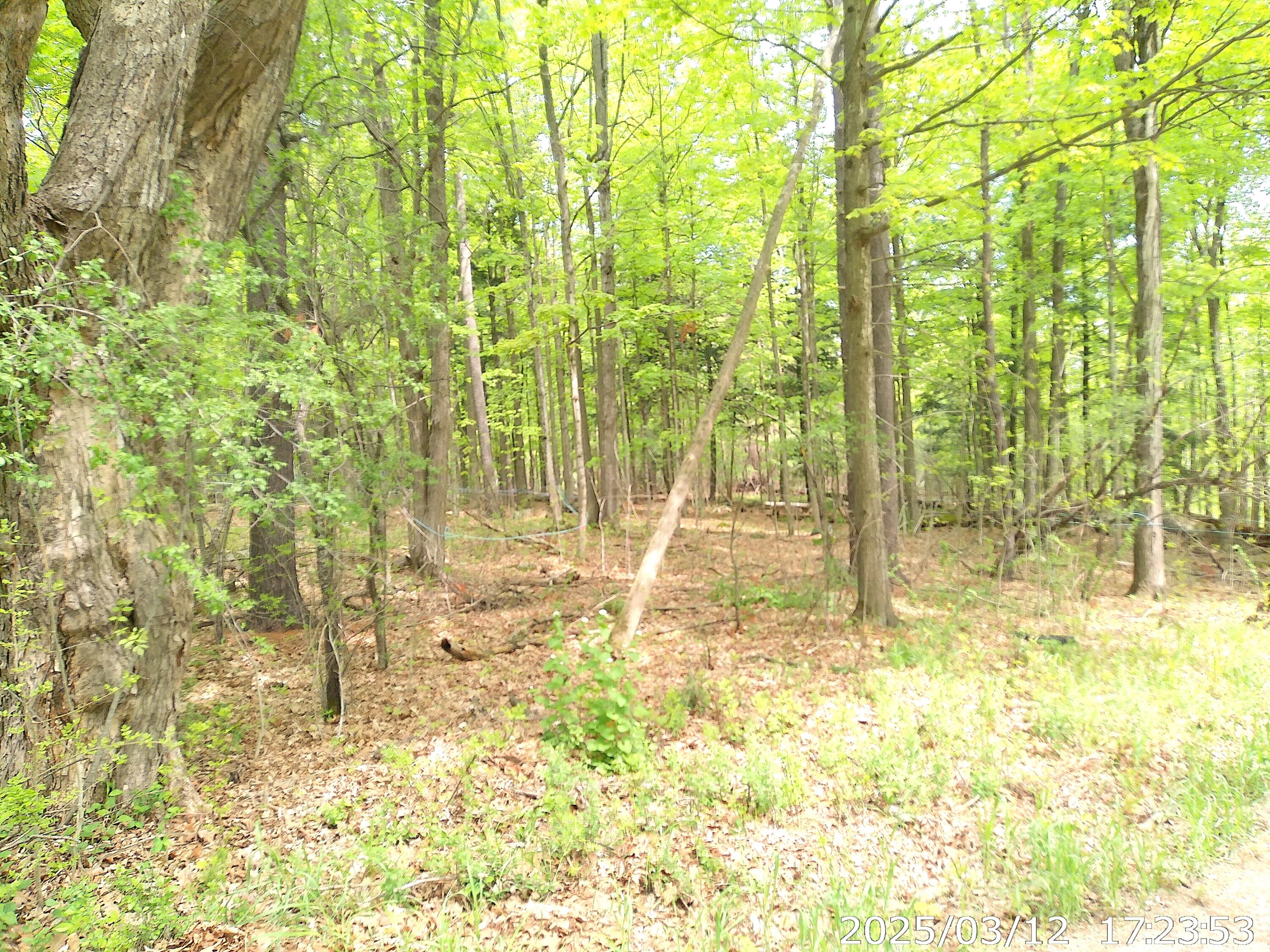 Barksdale Road, Westport, New York image 3