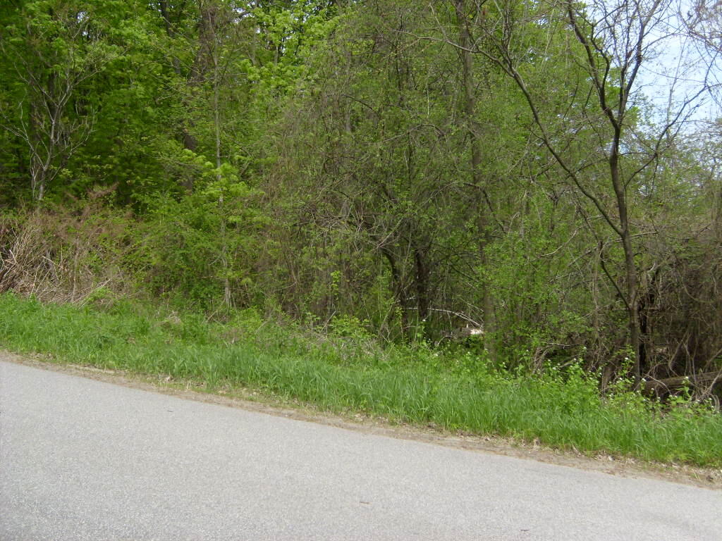 Barksdale Road, Westport, New York image 11