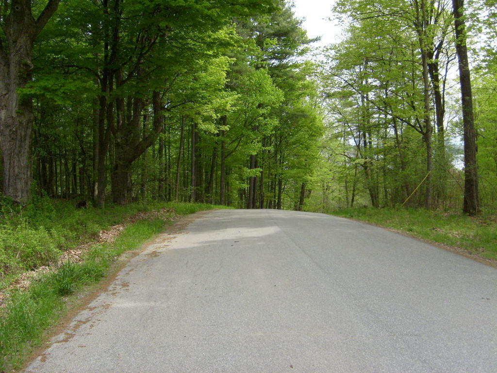 Barksdale Road, Westport, New York image 8