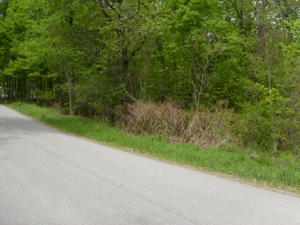 Barksdale Road, Westport, New York image 10