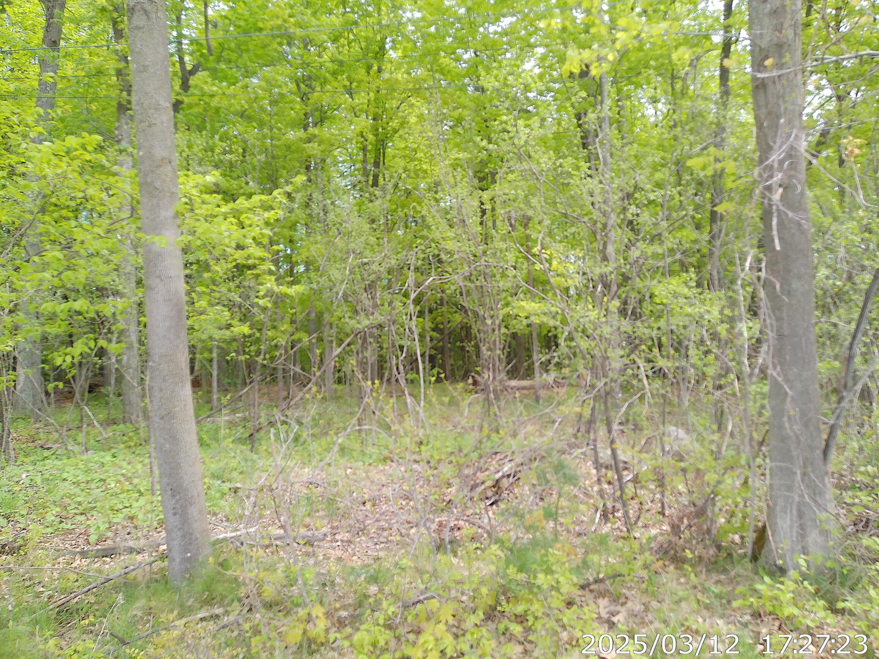 Barksdale Road, Westport, New York image 5