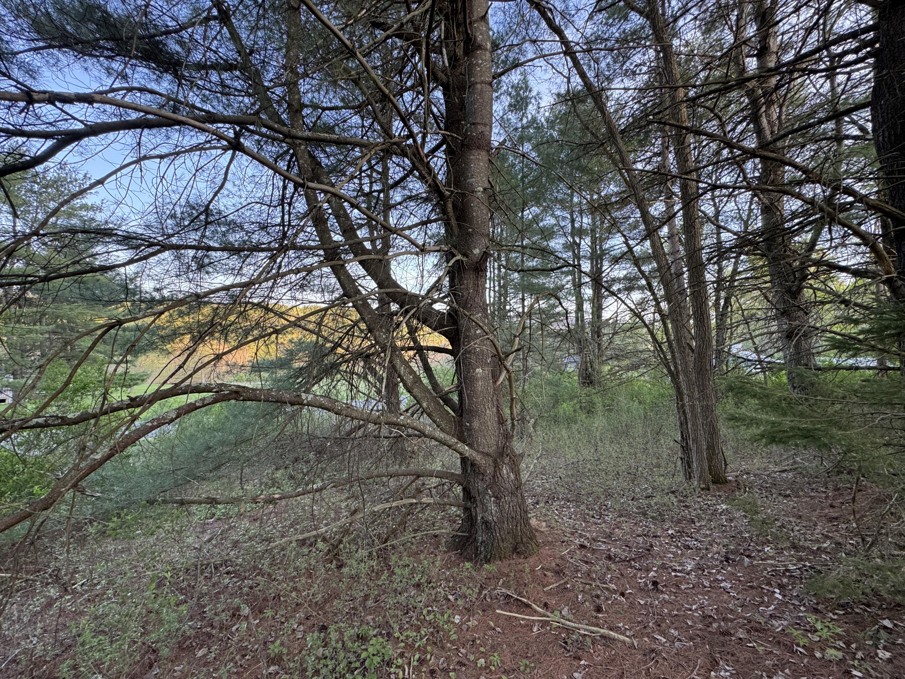 John Fountain Road, Jay, New York image 12