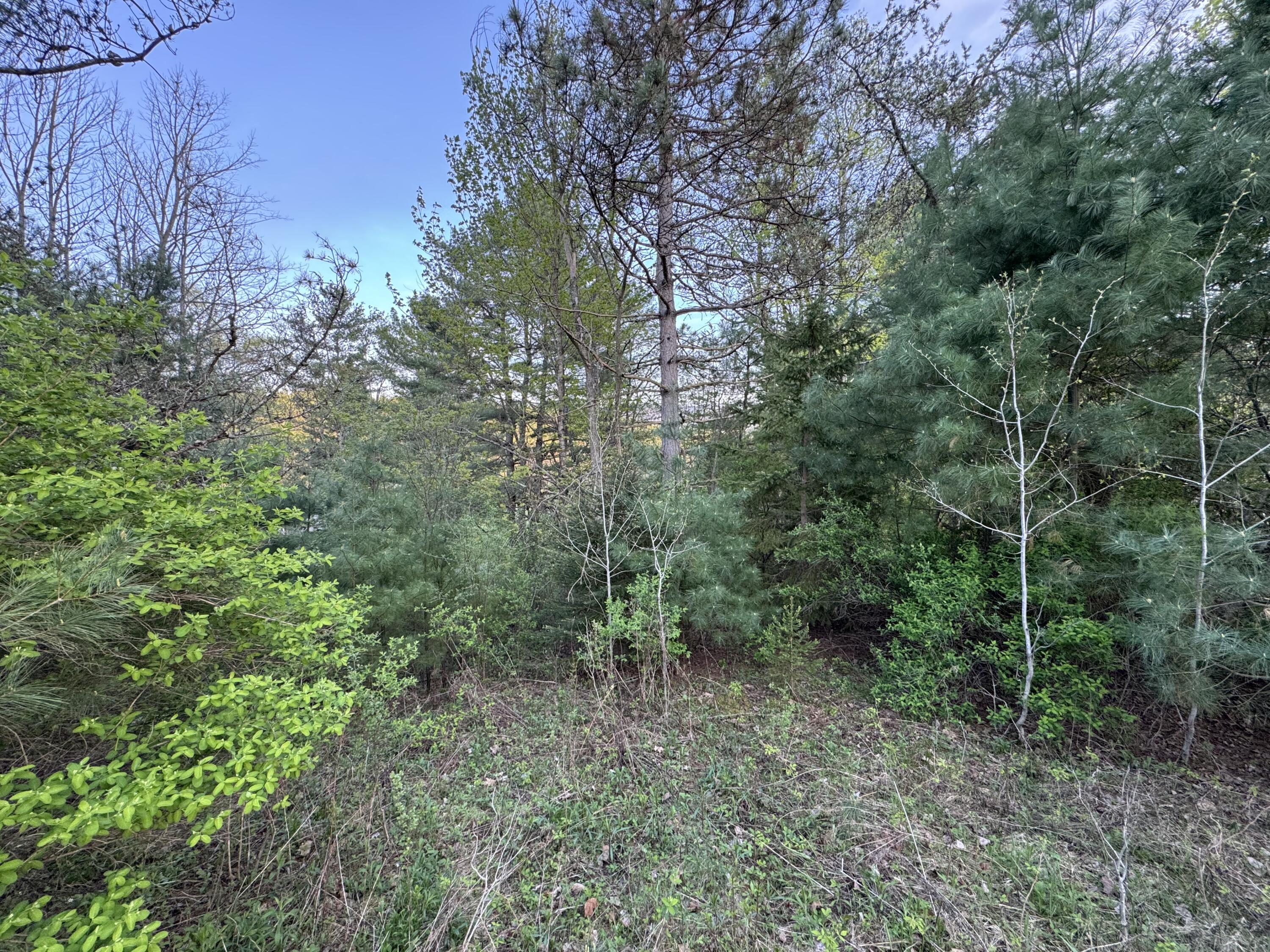 John Fountain Road, Jay, New York image 15