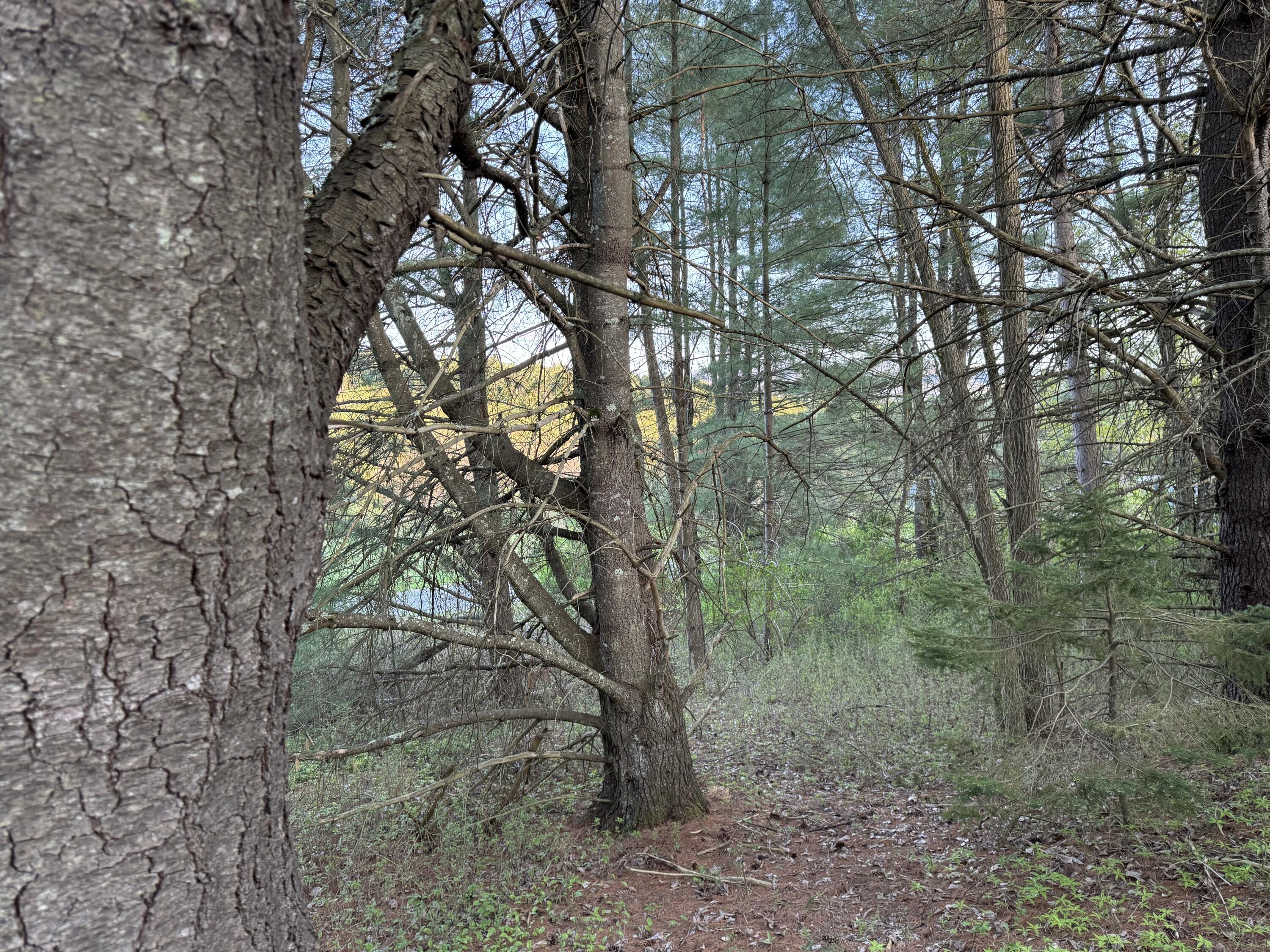 John Fountain Road, Jay, New York image 13
