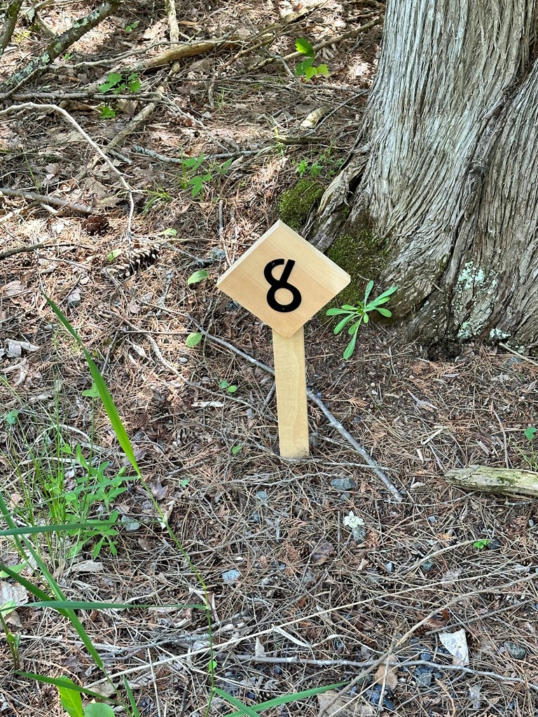 0 Mellow Way (Lot #8)