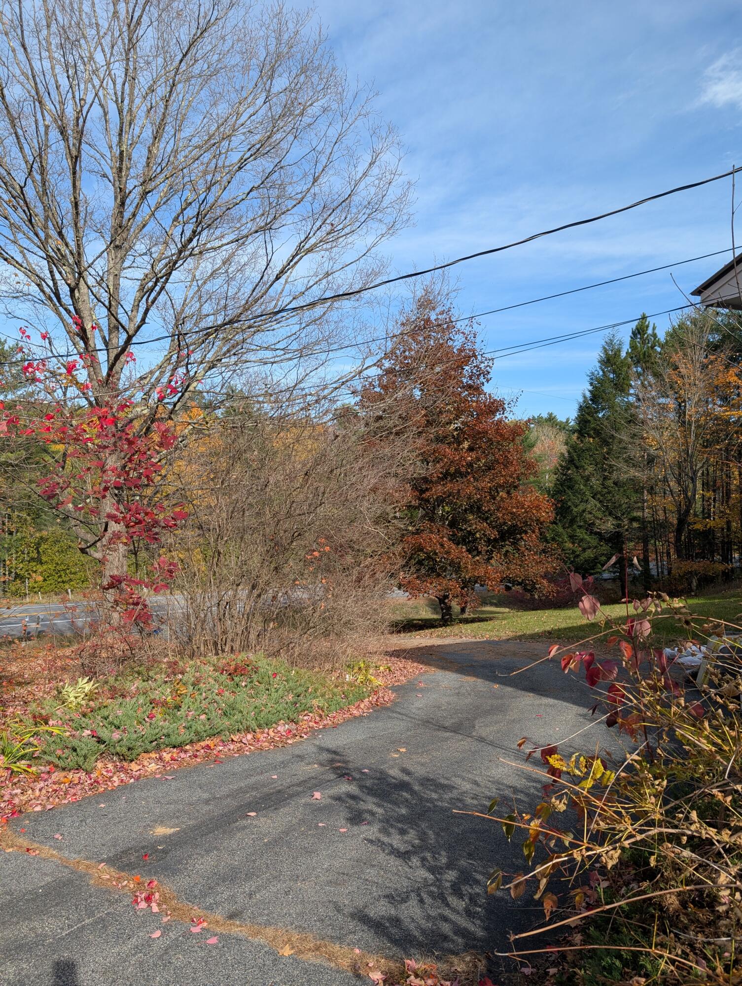 7707 NYS Route 9N