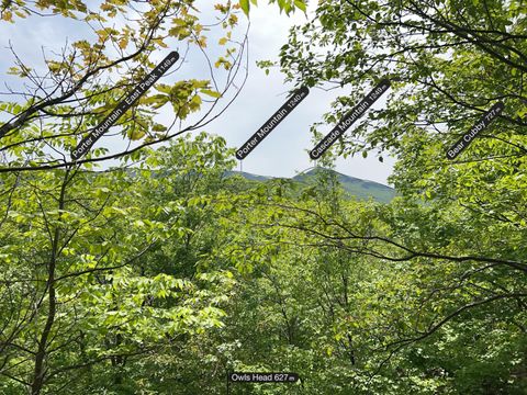 Vacant Land For Sale - Owls Head Lane<br/> Keene, NY 12942