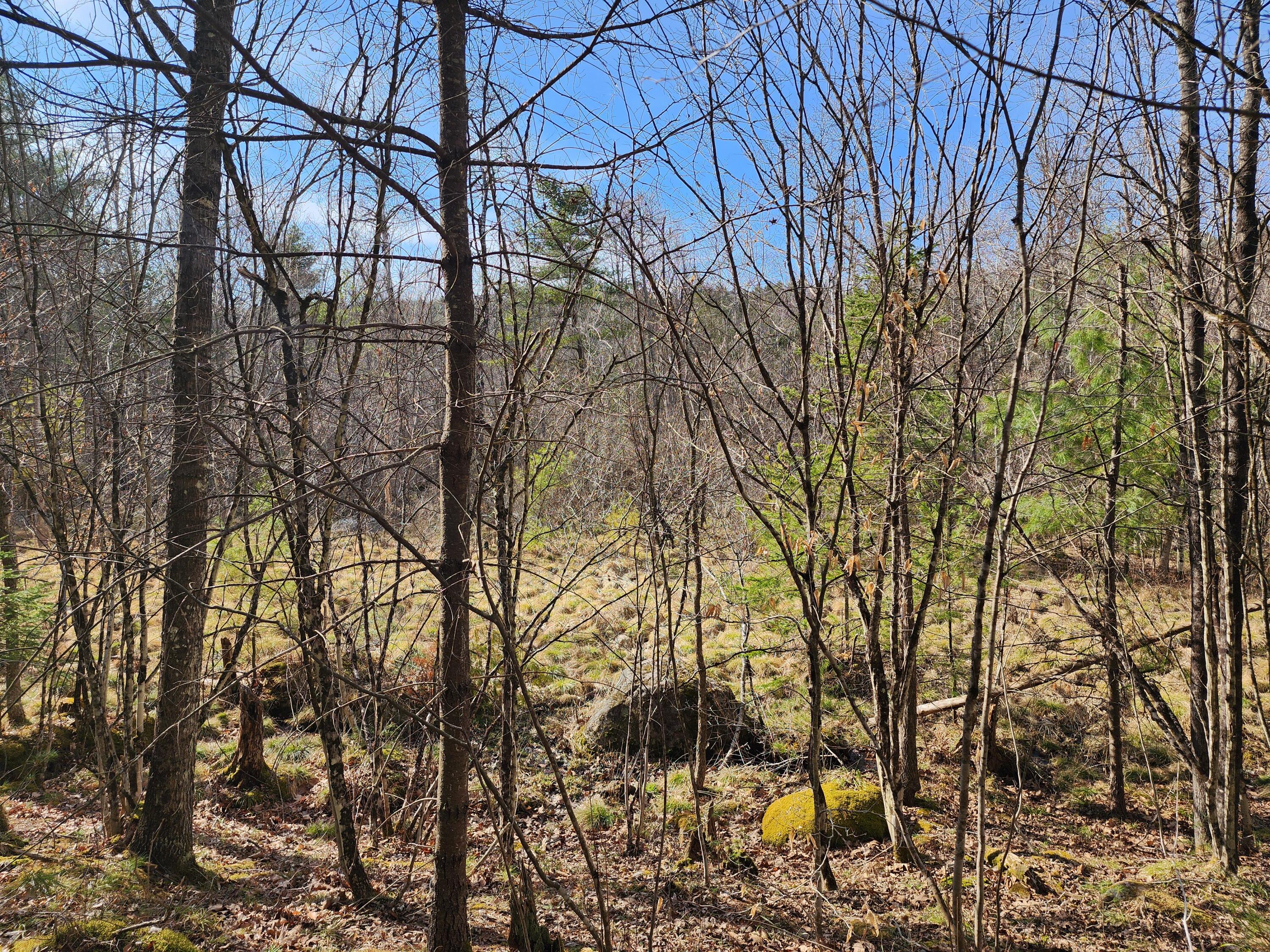 151 Church Lane, Au Sable Forks, New York image 9