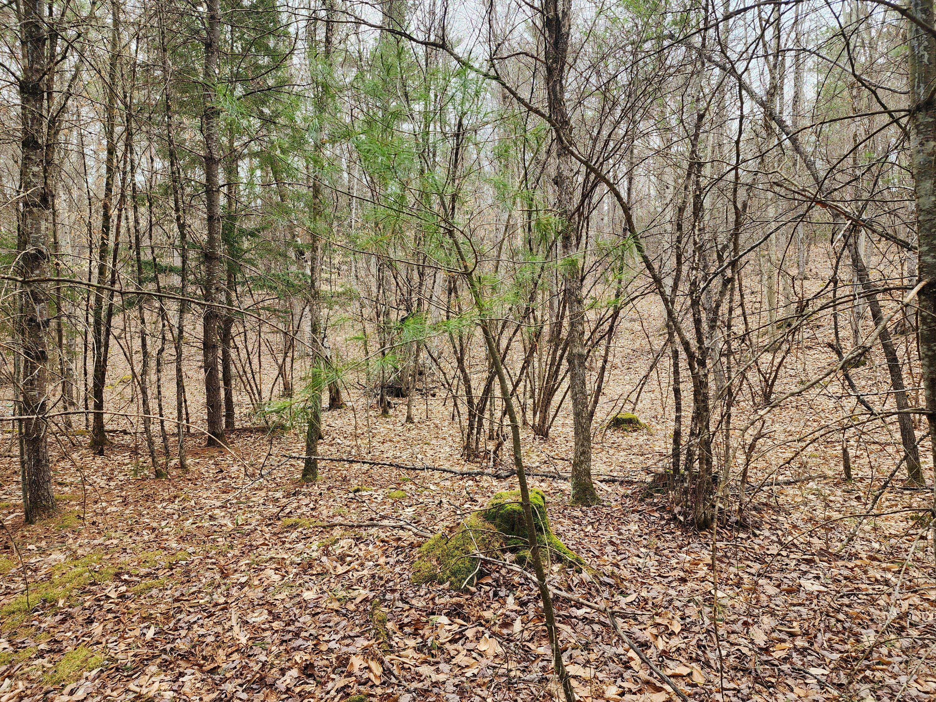 151 Church Lane, Au Sable Forks, New York image 7