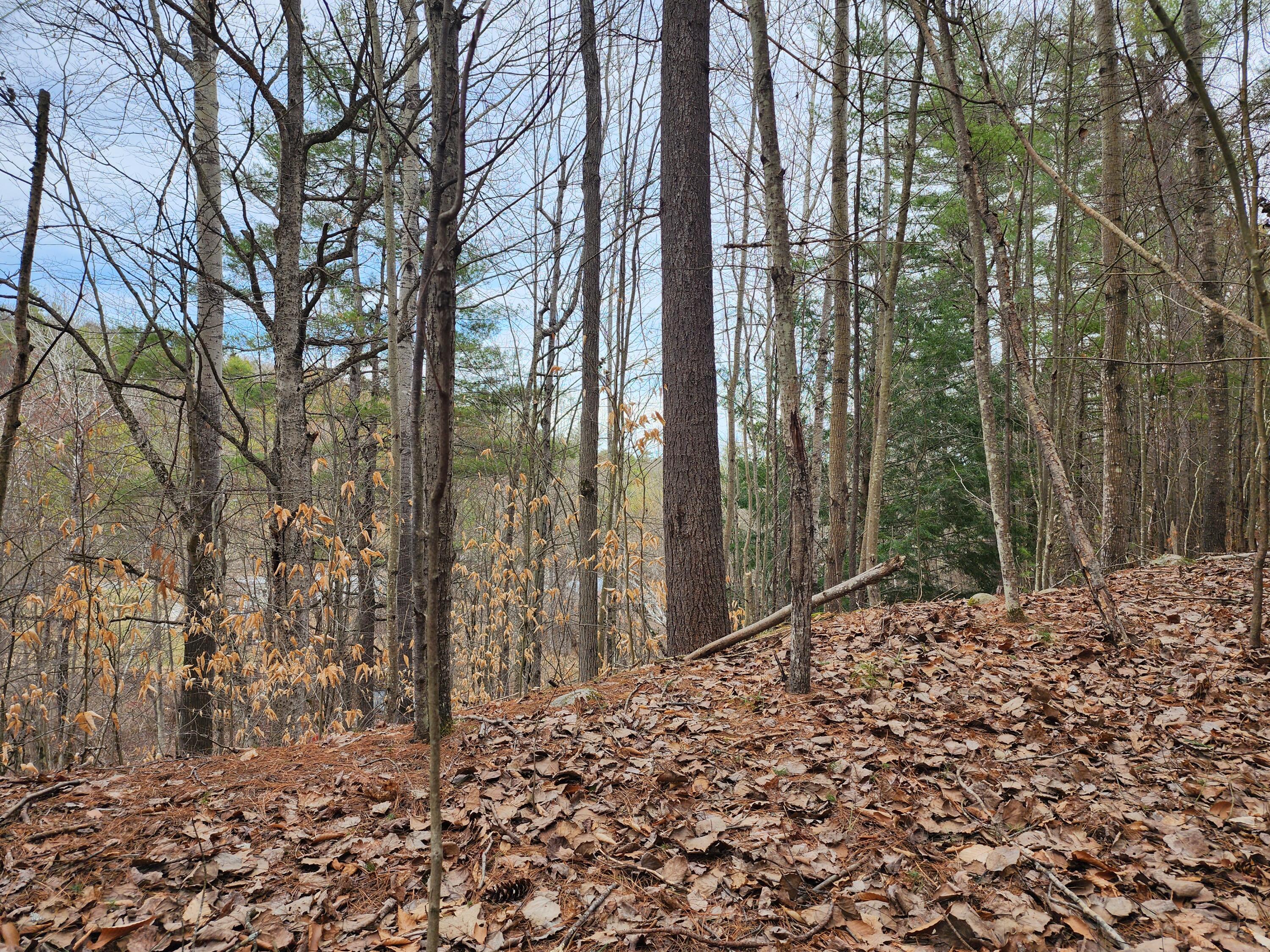 151 Church Lane, Au Sable Forks, New York image 4