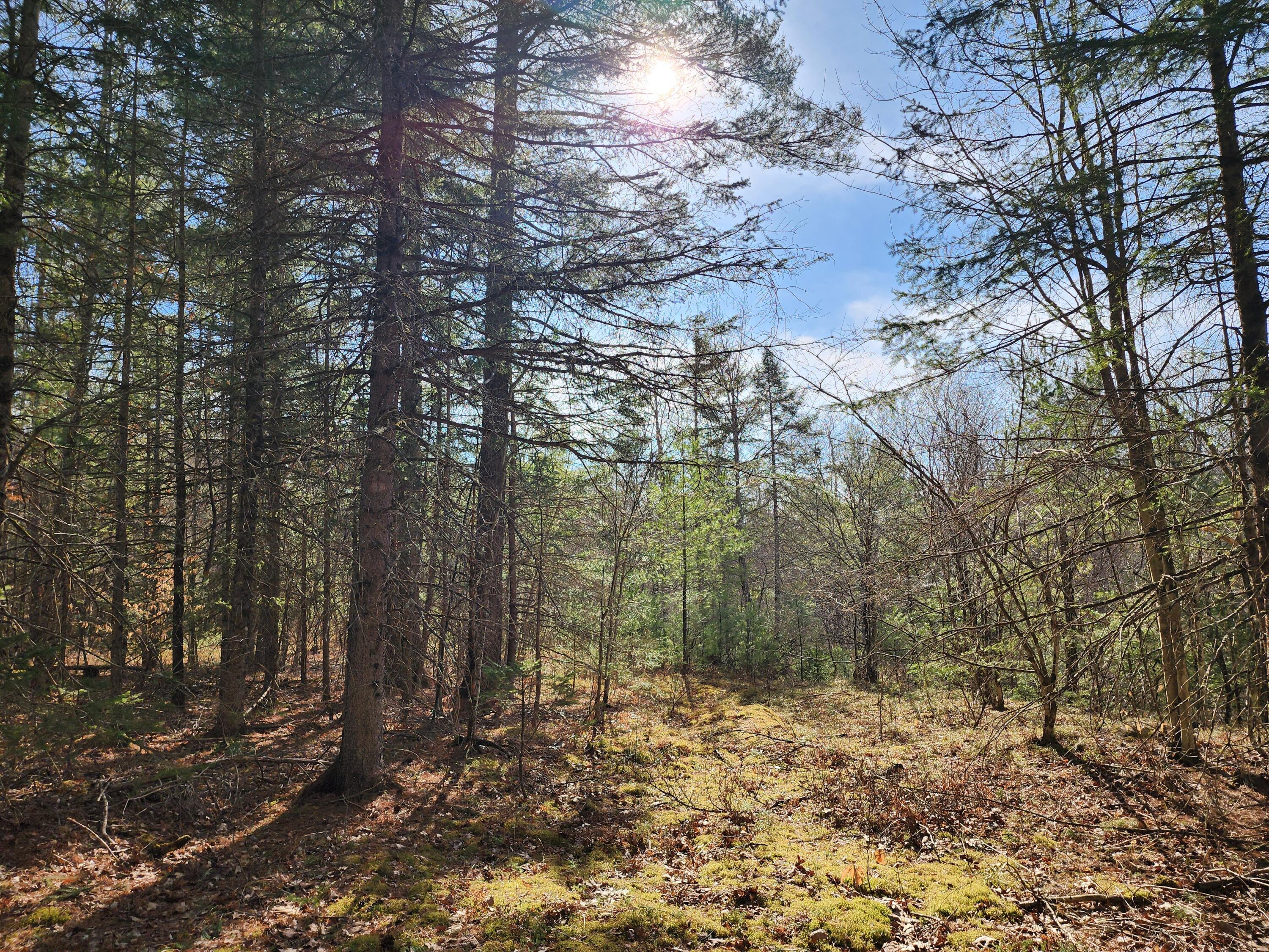 151 Church Lane, Au Sable Forks, New York image 1
