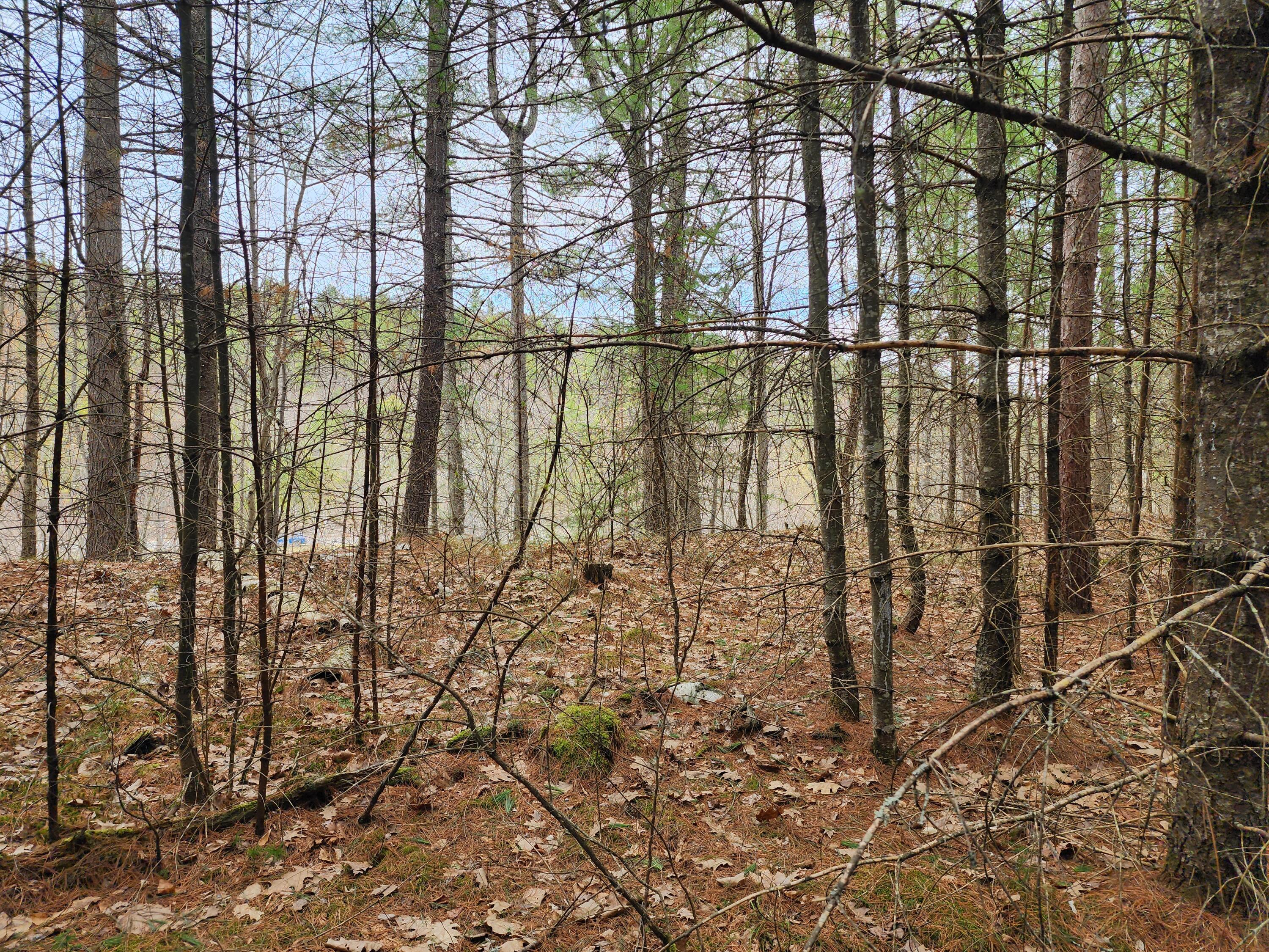 151 Church Lane, Au Sable Forks, New York image 5