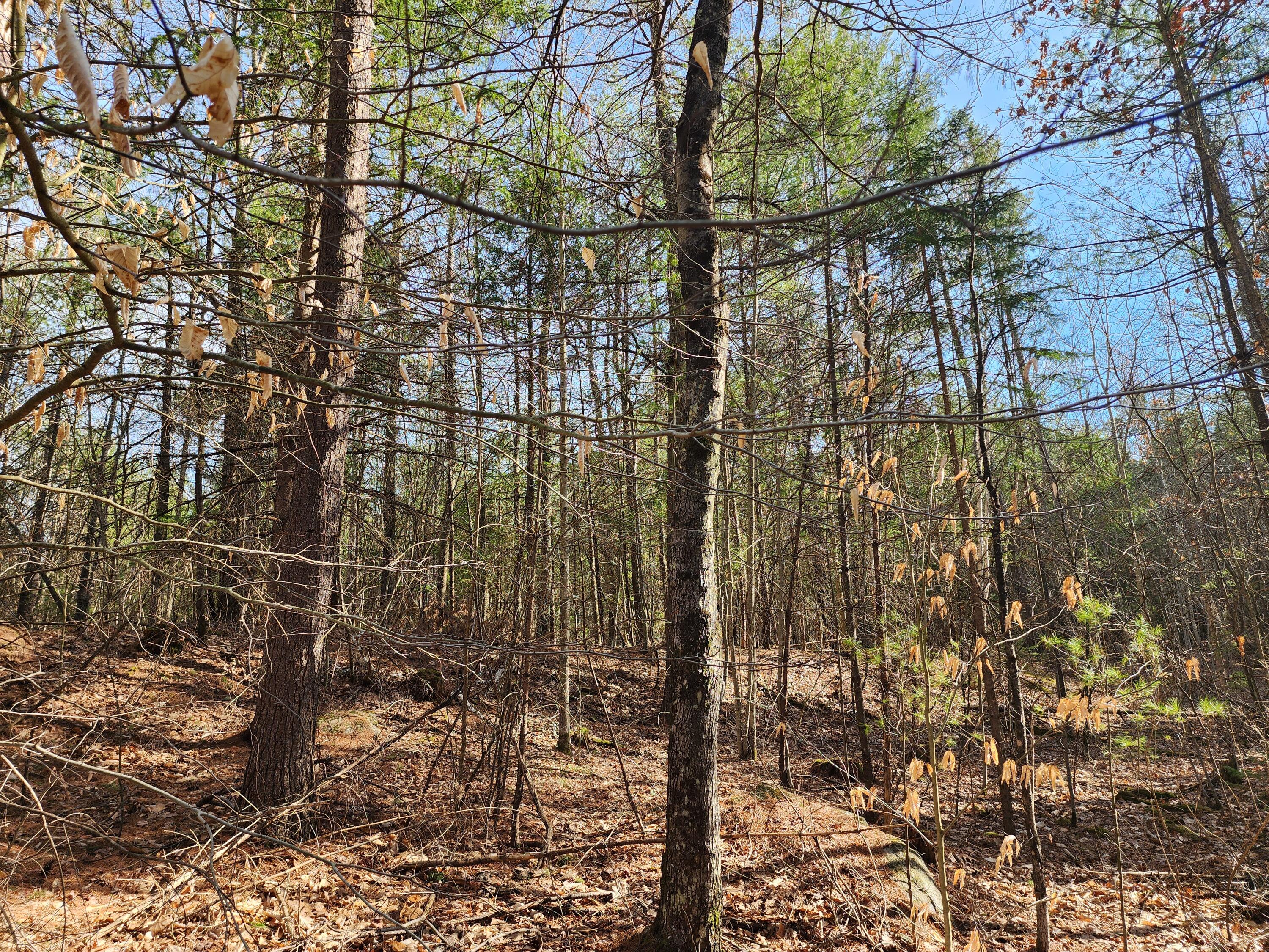 151 Church Lane, Au Sable Forks, New York image 10