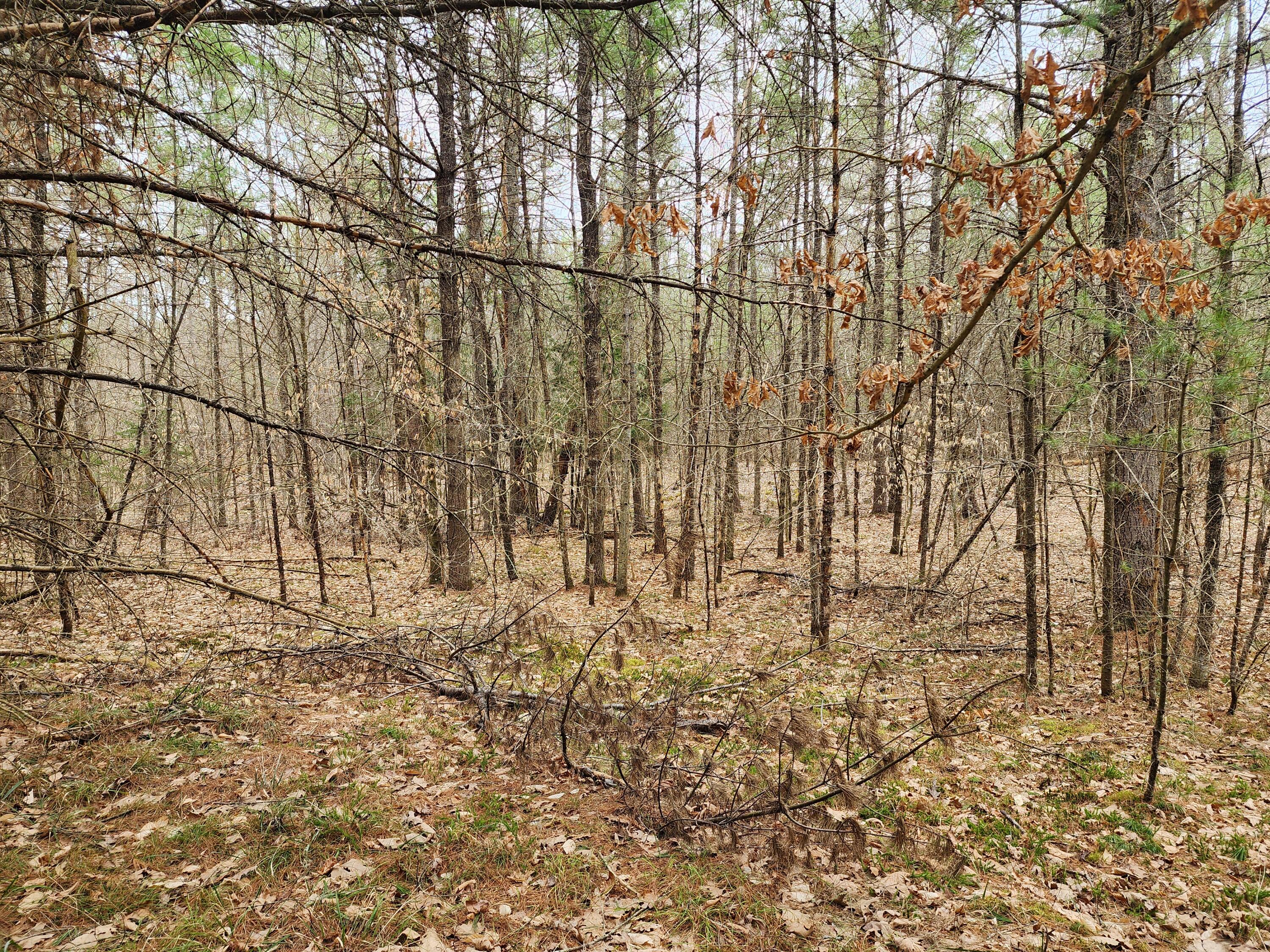 151 Church Lane, Au Sable Forks, New York image 6