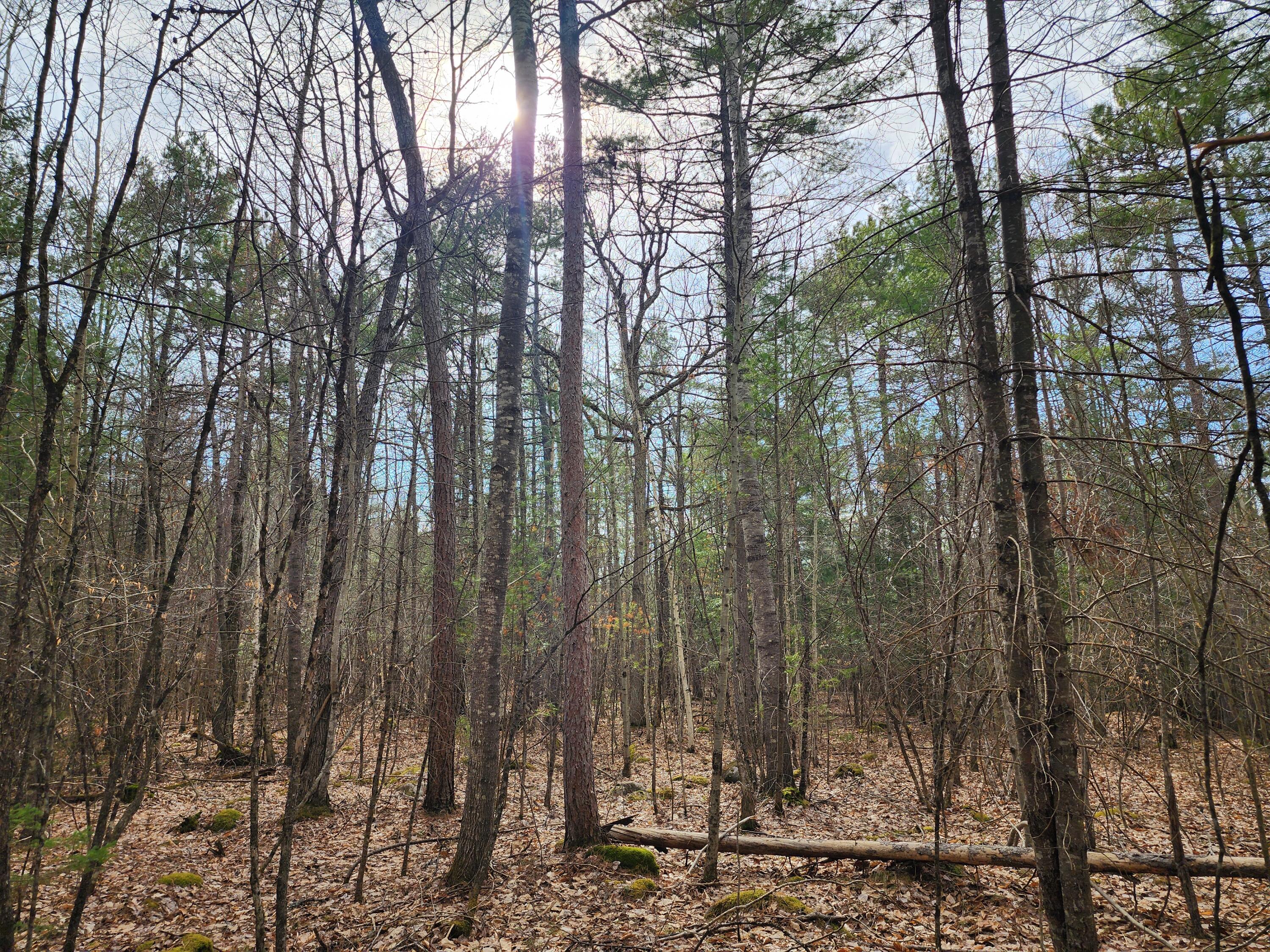 151 Church Lane, Au Sable Forks, New York image 8