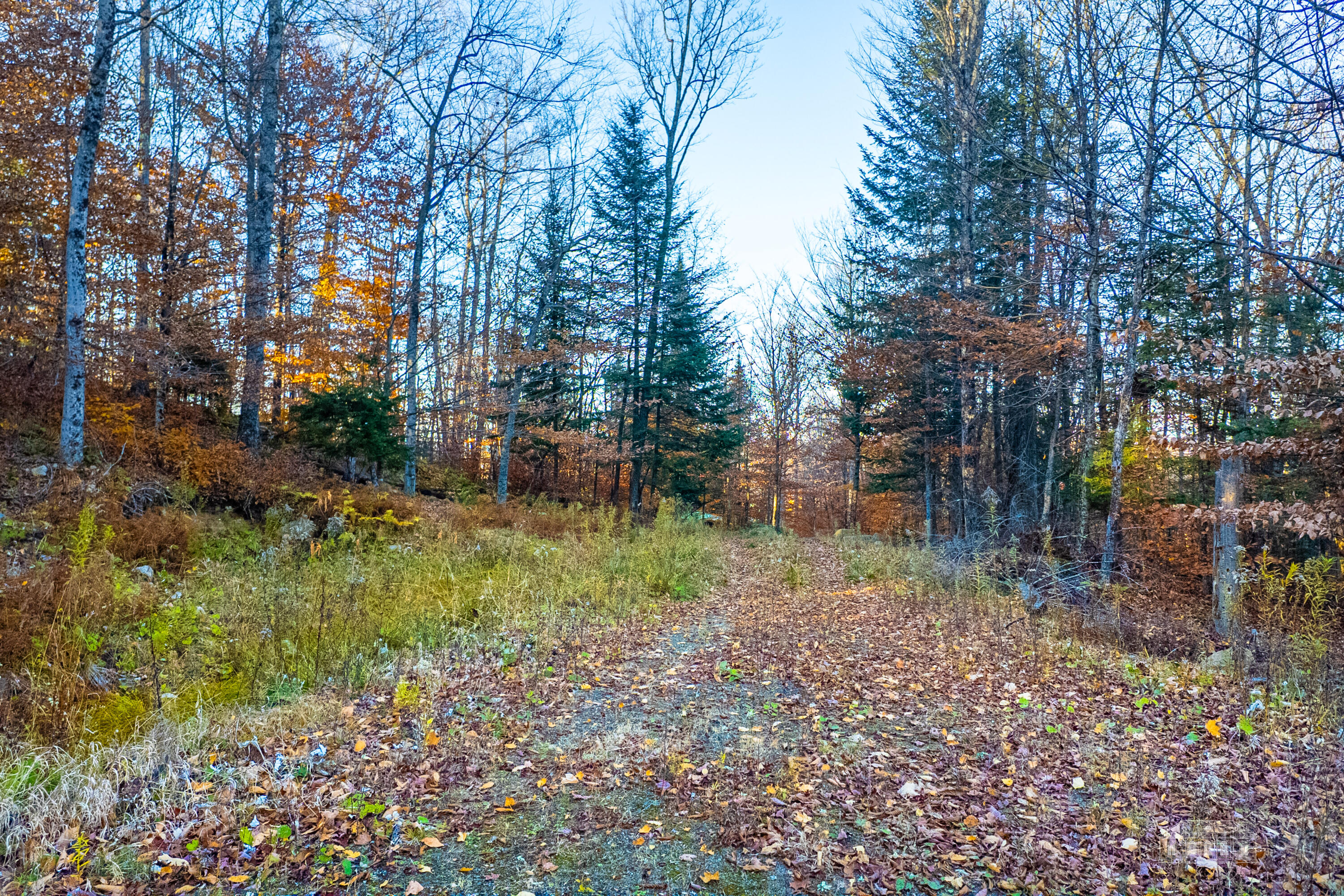 Lot 7 Hawk Ridge, Hawk Lane