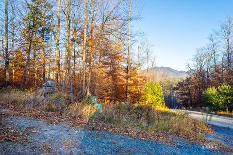 Vacant Land For Sale - LOT 7 Hawk Ridge, Hawk Lane<br/> Franklin County, Saranac Lake, NY 12983