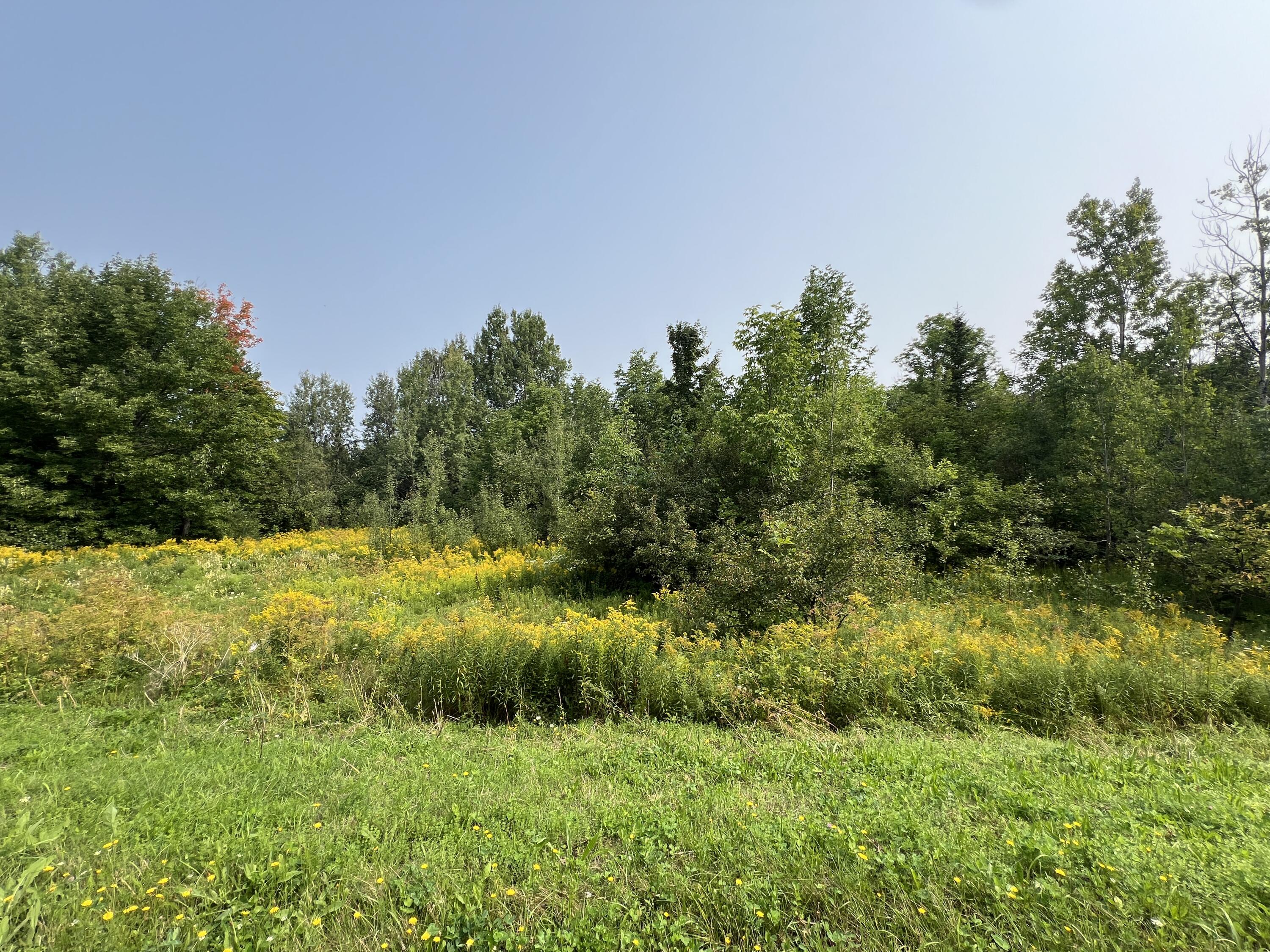 Smith Road, Ellenburg Depot, New York image 6