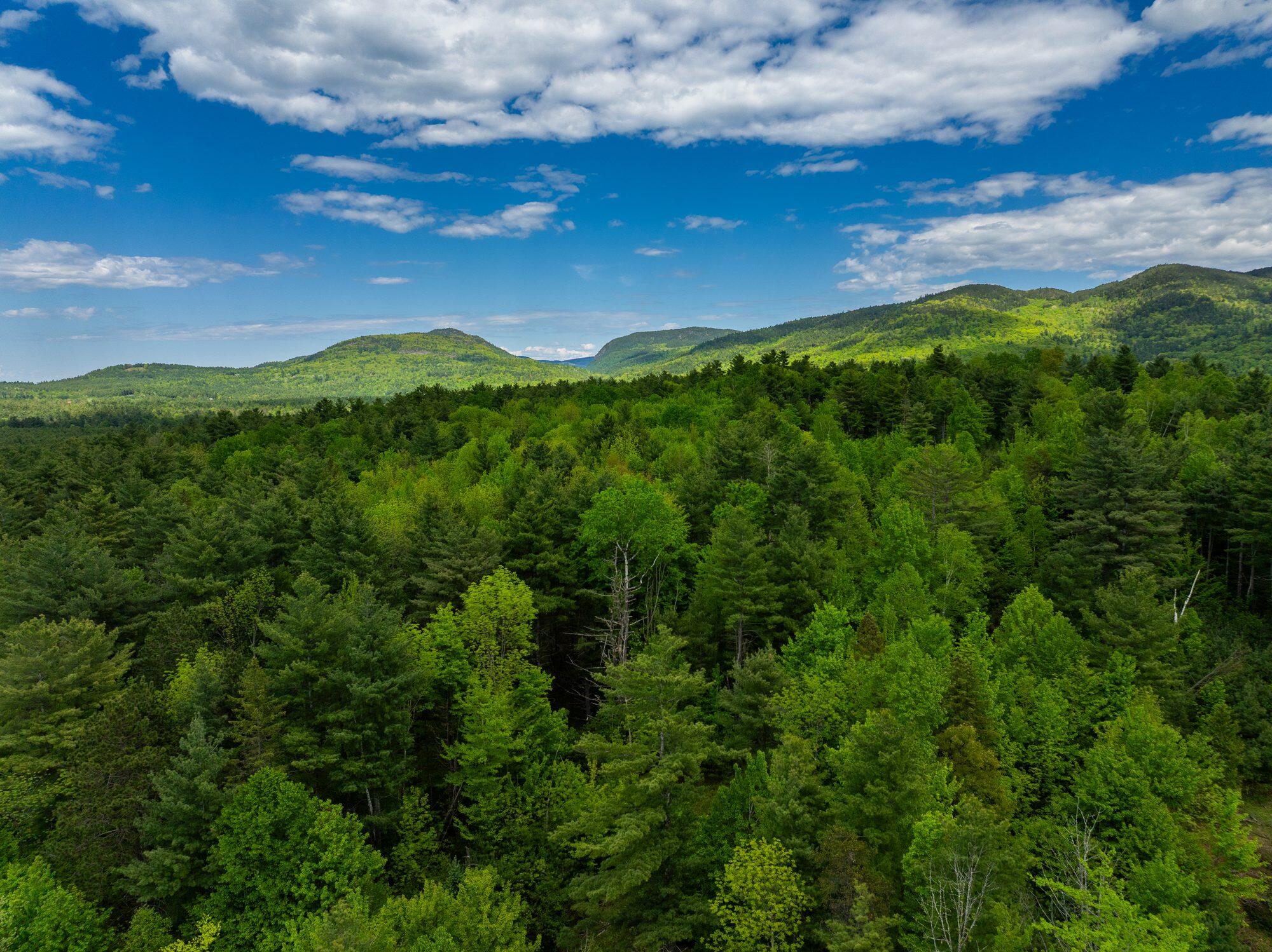 Lot 2 Wildernesscapes Way, Jay, New York image 2